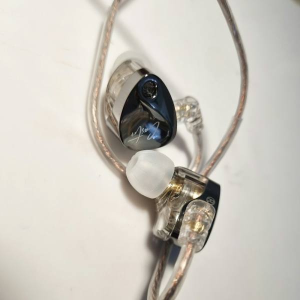 JBL Tune 310C